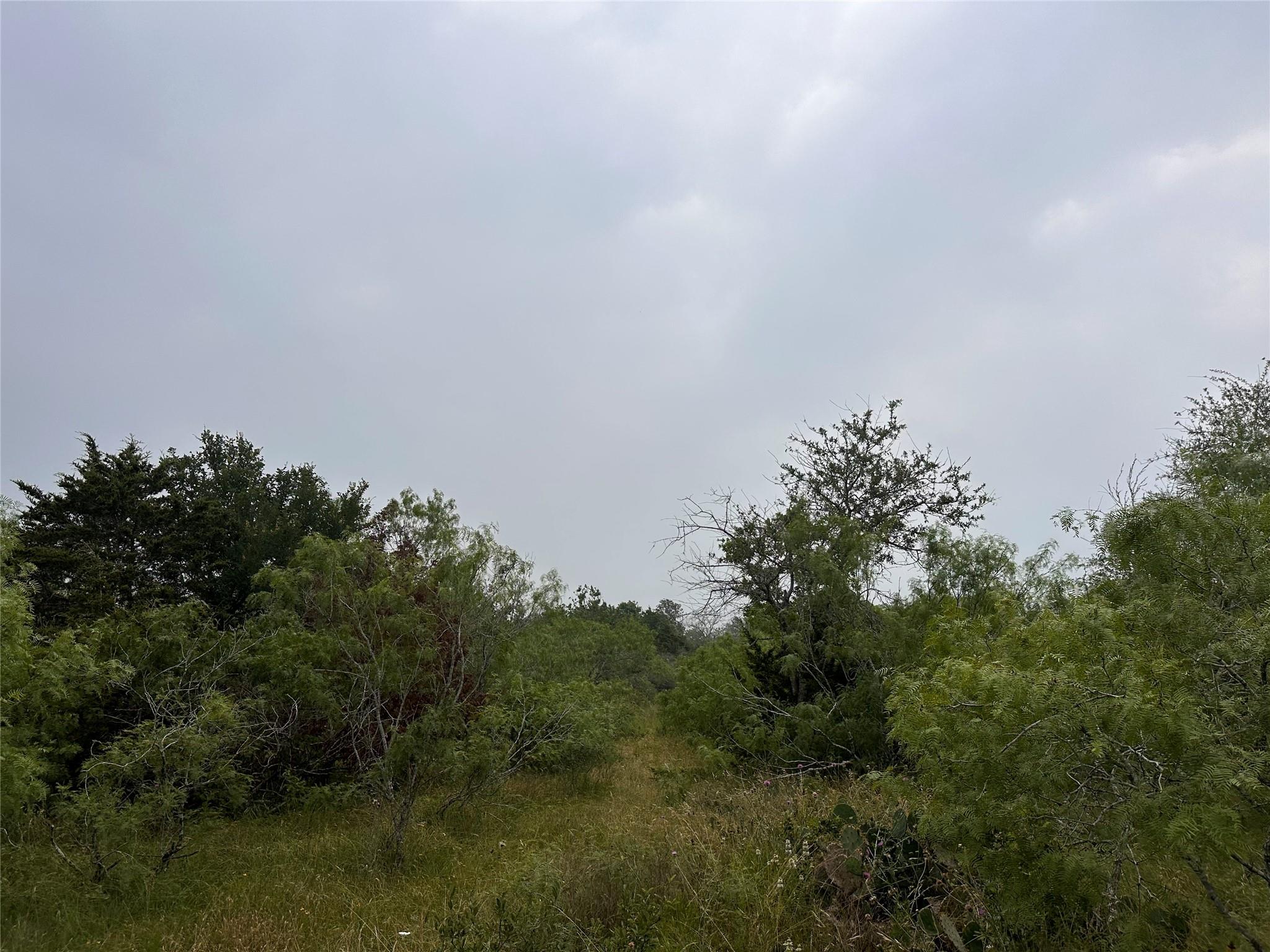 Lot 3 Private Road 4601 Waelder TX 78959