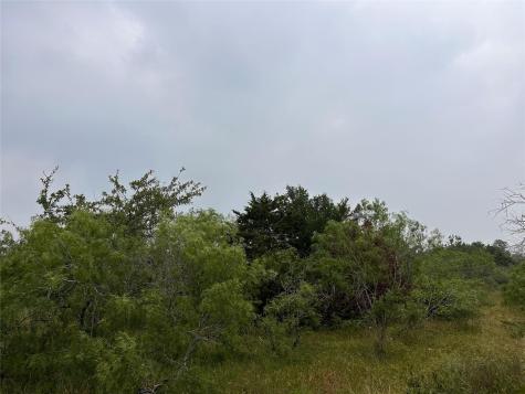 Lot 3 Private Road 4601 Waelder TX 78959