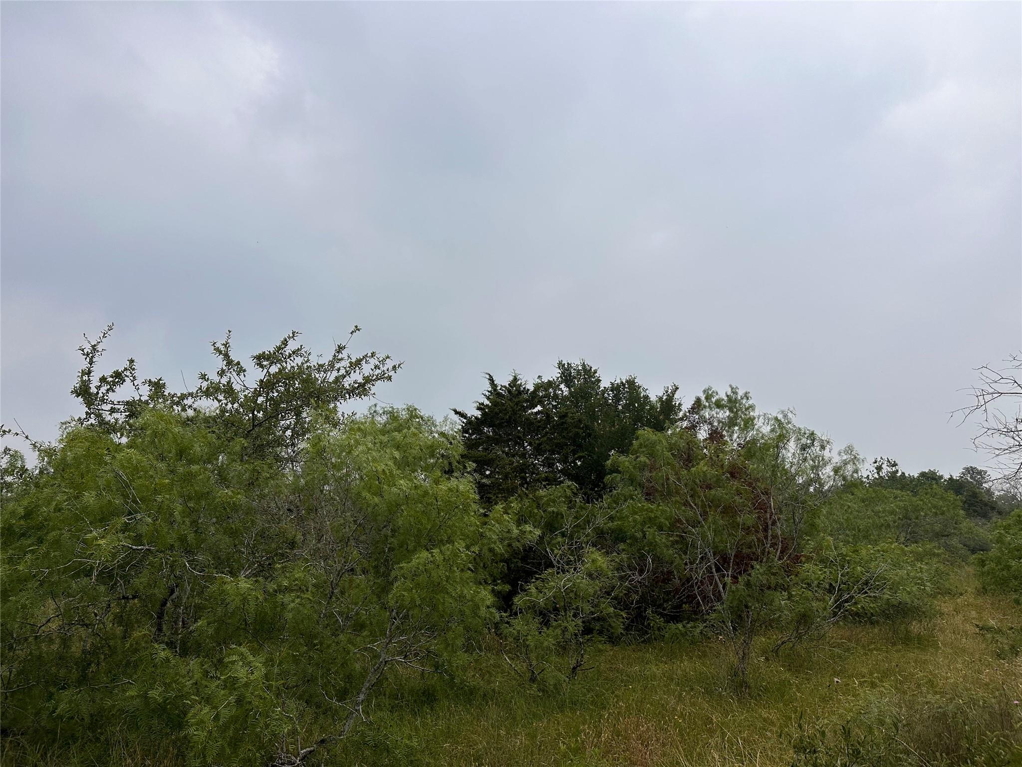 Lot 3 Private Road 4601 Waelder TX 78959