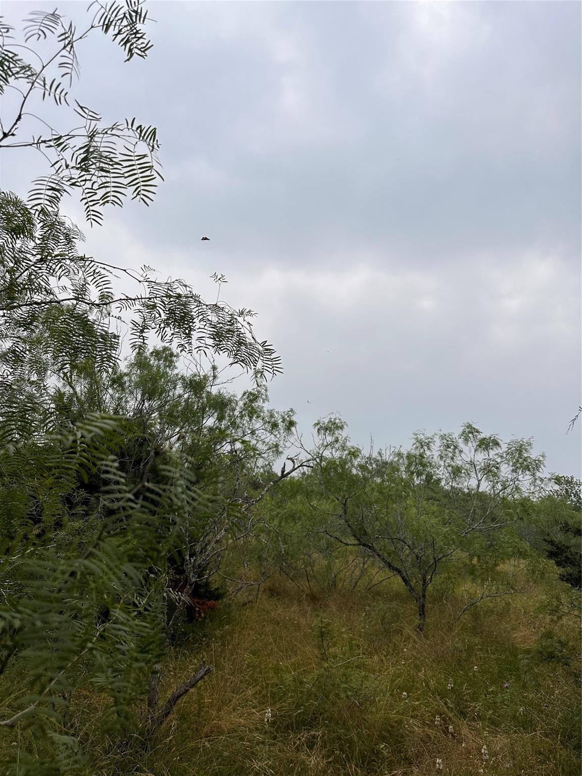Lot 3 Private Road 4601 Waelder TX 78959