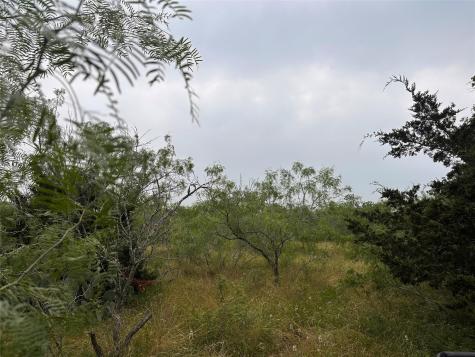 Lot 3 Private Road 4601 Waelder TX 78959