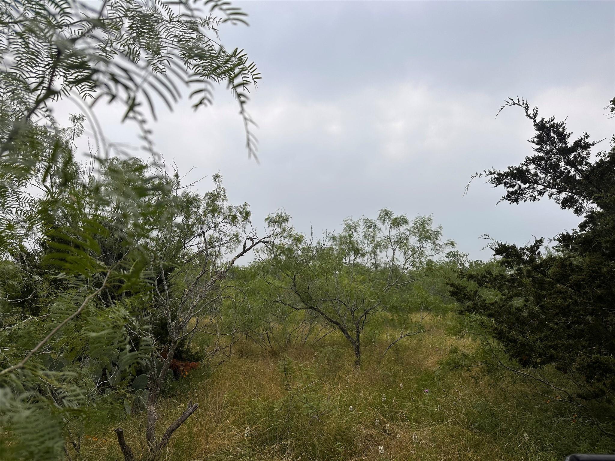 Lot 3 Private Road 4601 Waelder TX 78959
