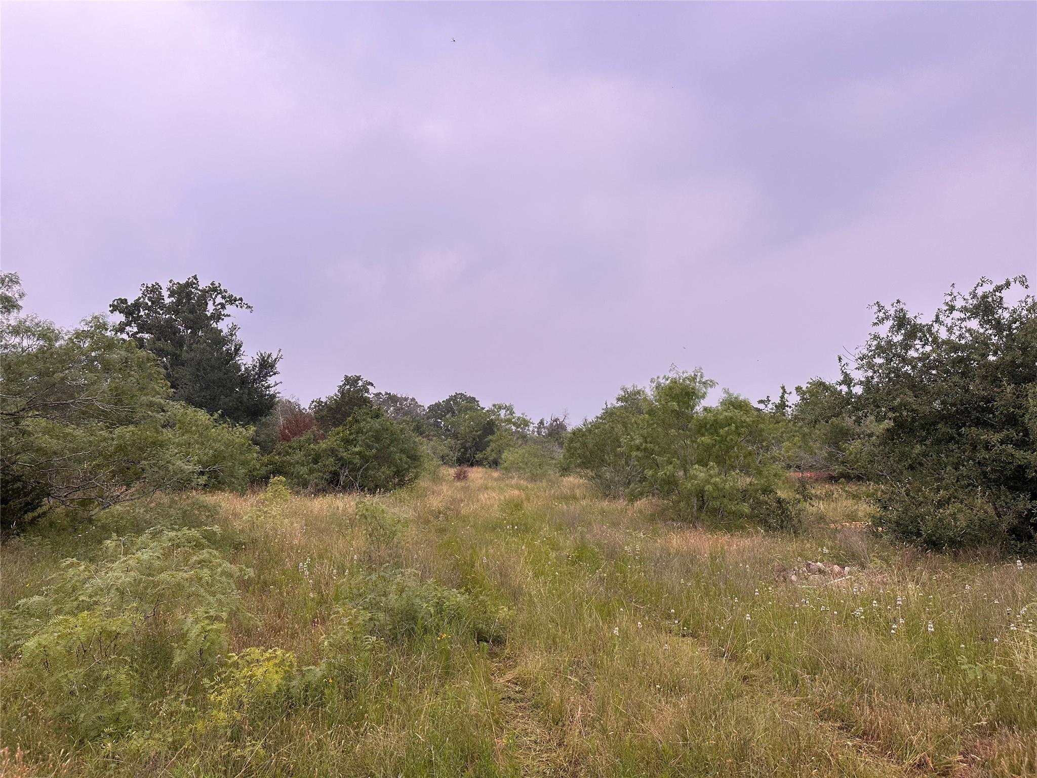 Lot 3 Private Road 4601 Waelder TX 78959