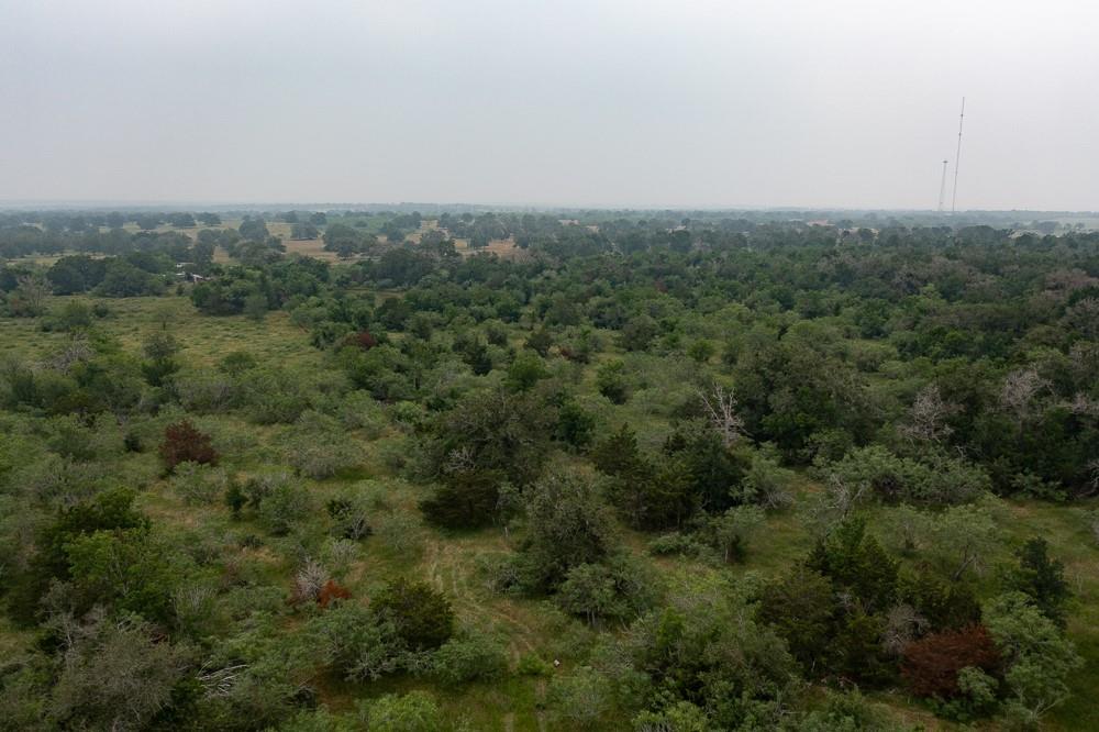 Lot 3 Private Road 4601 Waelder TX 78959
