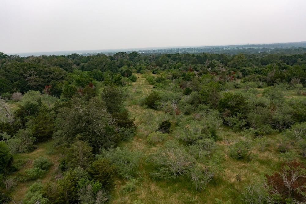 Lot 3 Private Road 4601 Waelder TX 78959