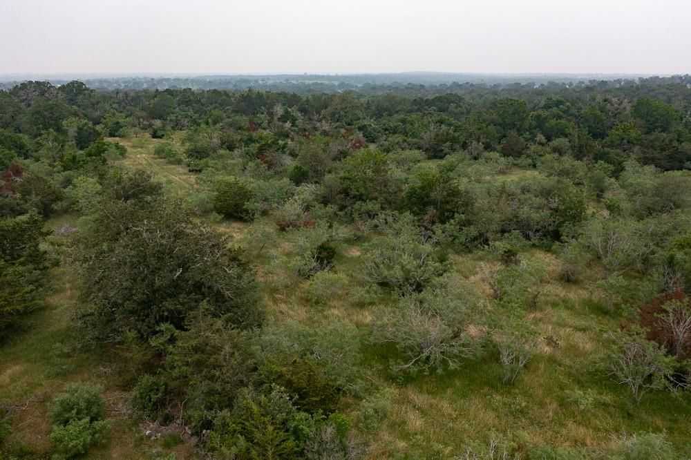 Lot 3 Private Road 4601 Waelder TX 78959