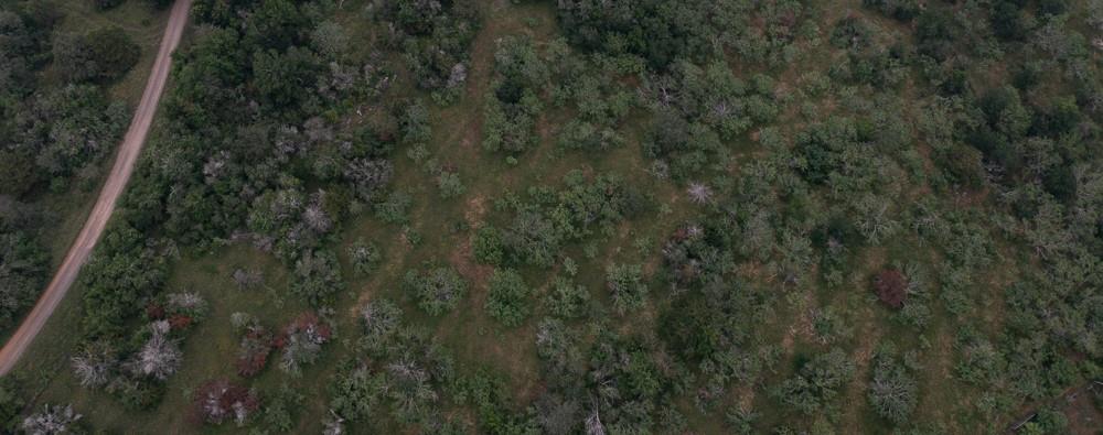 Lot 3 Private Road 4601 Waelder TX 78959