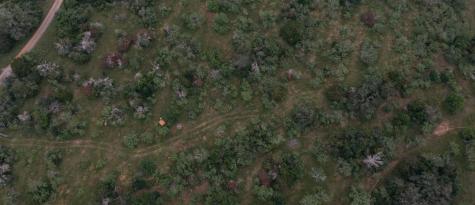 Lot 3 Private Road 4601 Waelder TX 78959