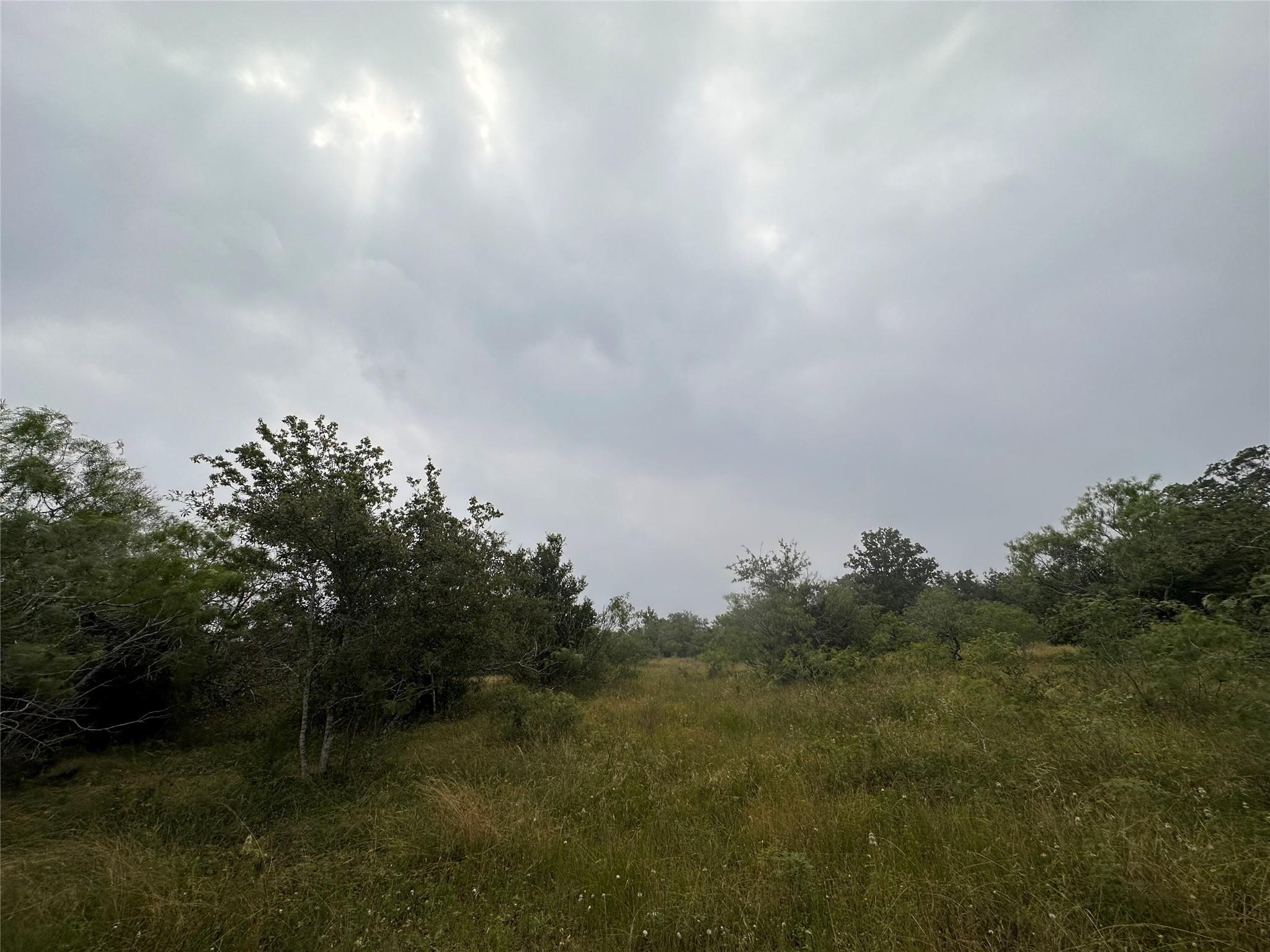 Lot 3 Private Road 4601 Waelder TX 78959