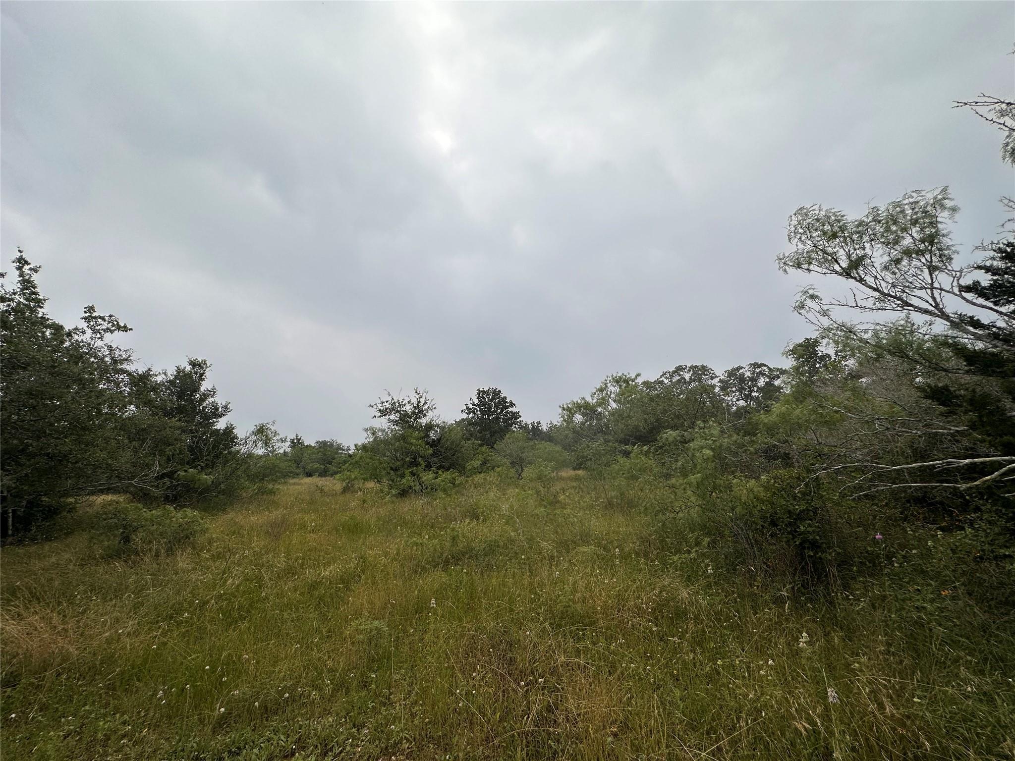 Lot 3 Private Road 4601 Waelder TX 78959