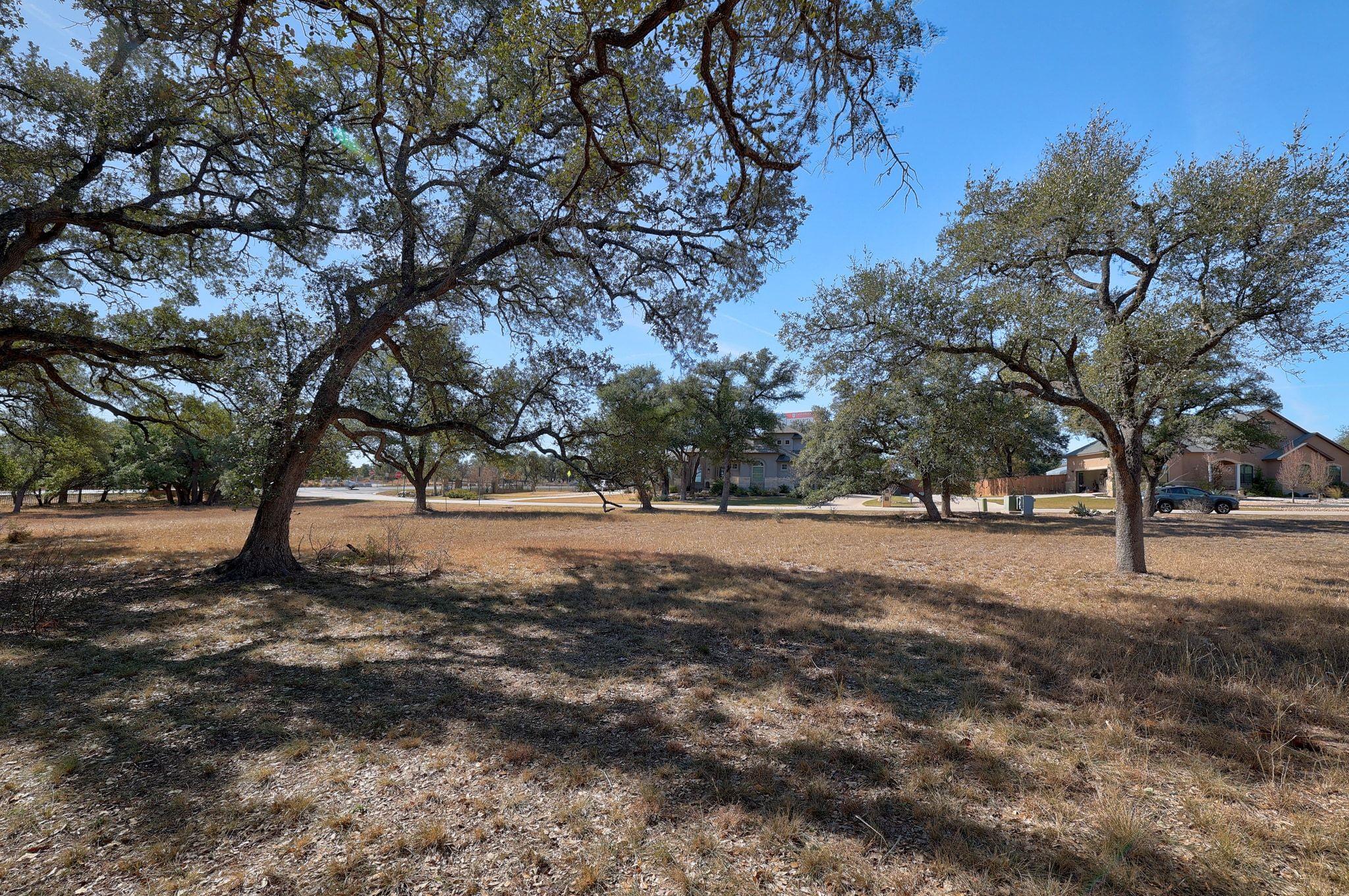 10913 Vista Heights Drive Georgetown TX 78628