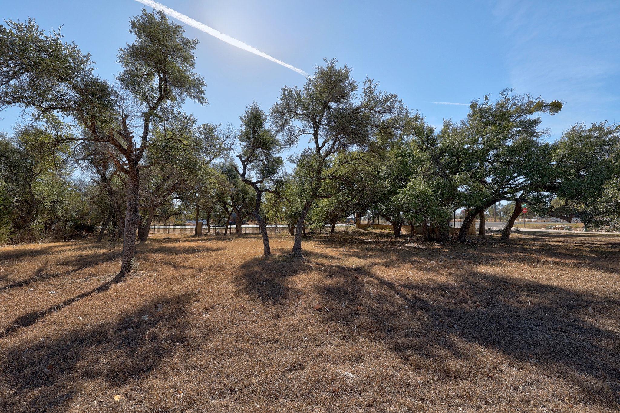 10913 Vista Heights Drive Georgetown TX 78628