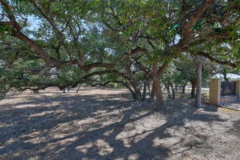 10913 Vista Heights Drive Georgetown TX 78628