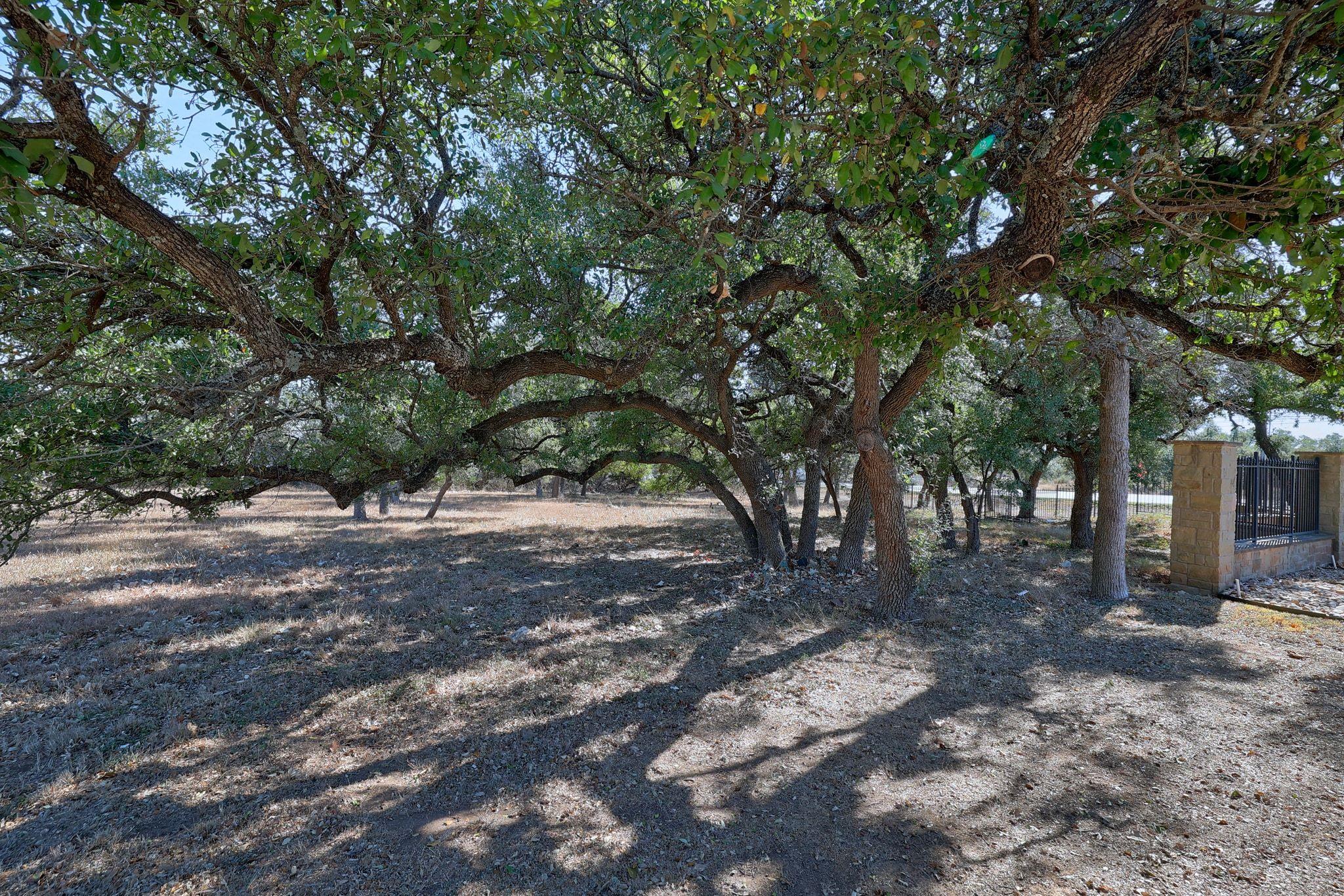 10913 Vista Heights Drive Georgetown TX 78628