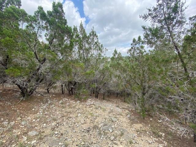 20902 Stone Cliff Drive Lago Vista TX 78645
