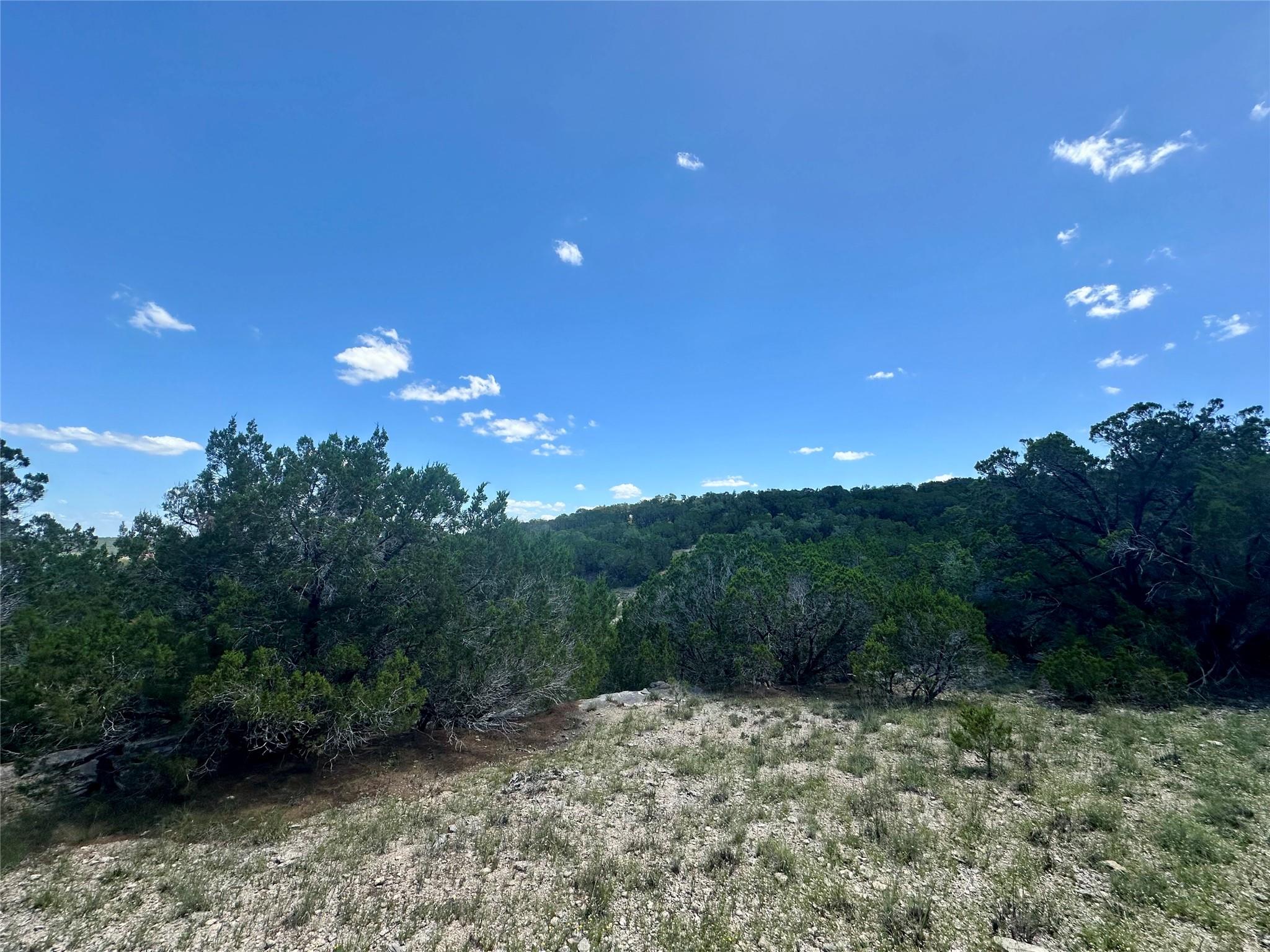 105 N Angel Light Drive Spicewood TX 78669