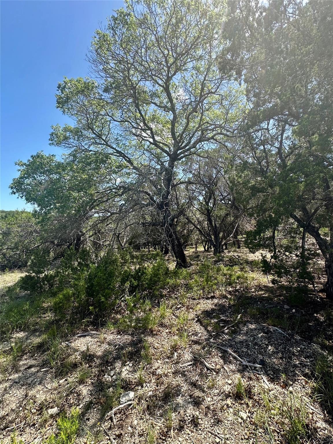 105 N Angel Light Drive Spicewood TX 78669