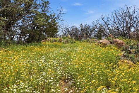 (Lot 30) Peninsula Drive Burnet TX 78611