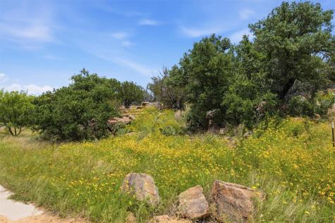 (Lot 30) Peninsula Drive Burnet TX 78611
