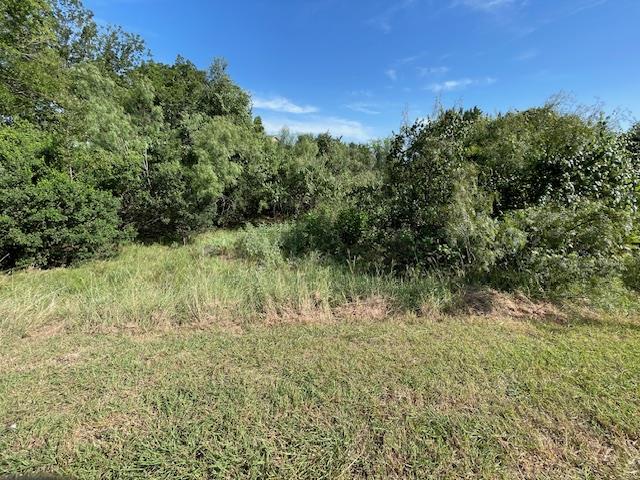 Lot 80 Wesley Ridge Drive Spicewood TX 78669