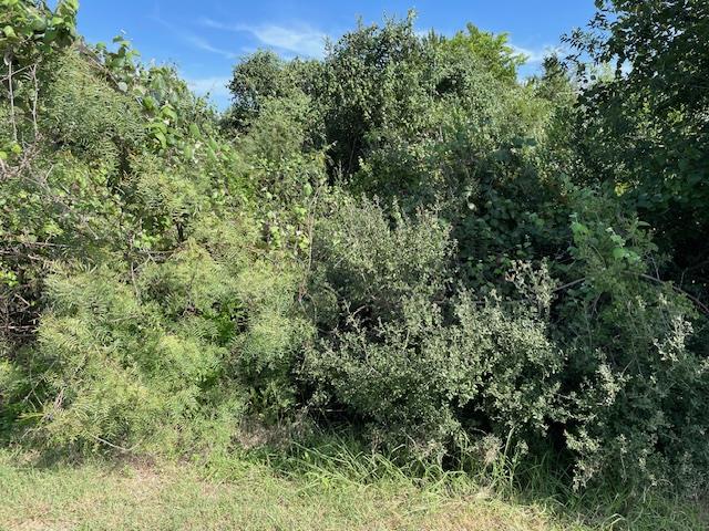 Lot 80 Wesley Ridge Drive Spicewood TX 78669