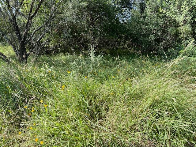 Lot 80 Wesley Ridge Drive Spicewood TX 78669
