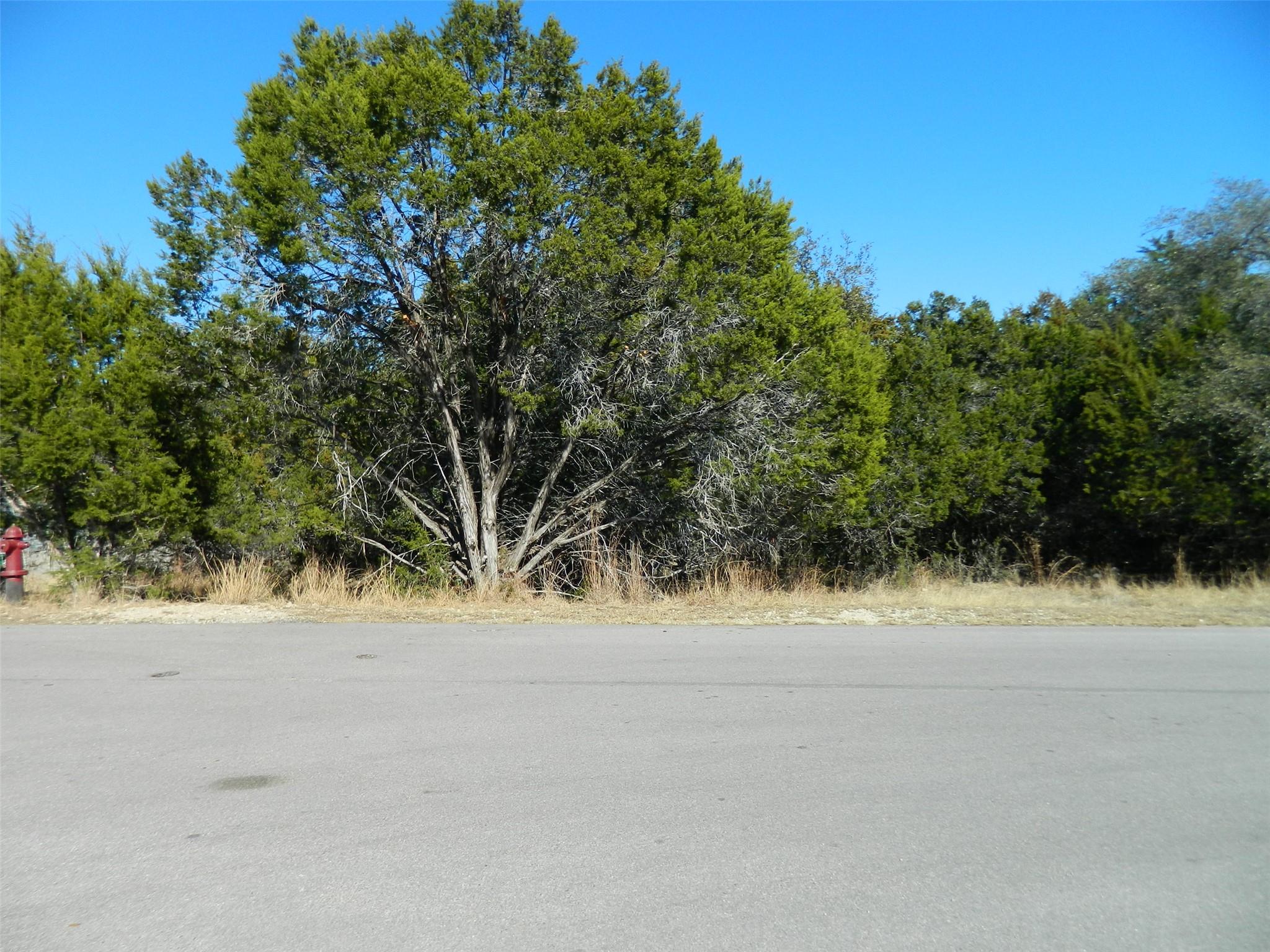21108 Santa Rosa Avenue Lago Vista TX 78645
