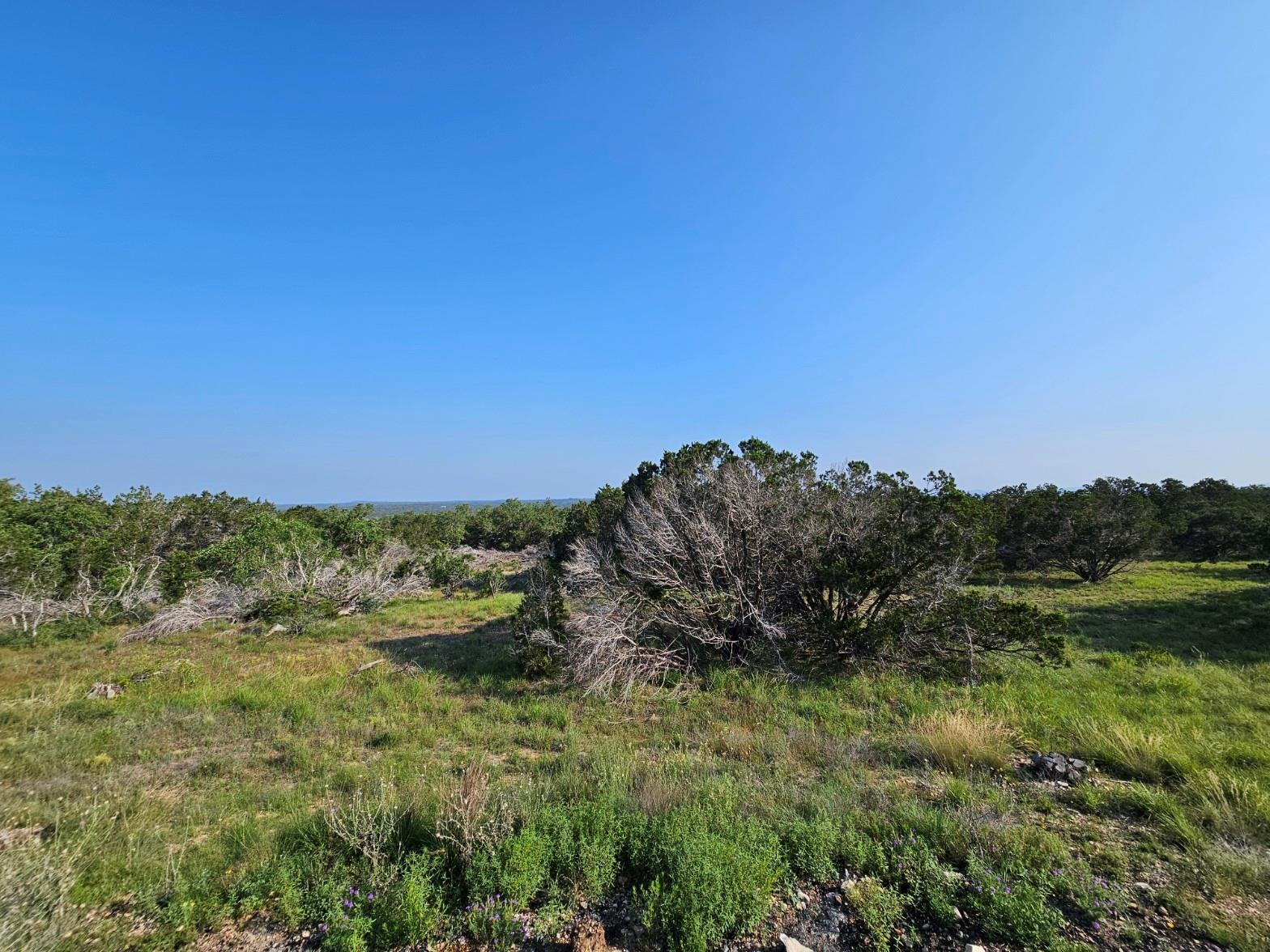 000 Windmill Ridge Drive Blanco TX 78606