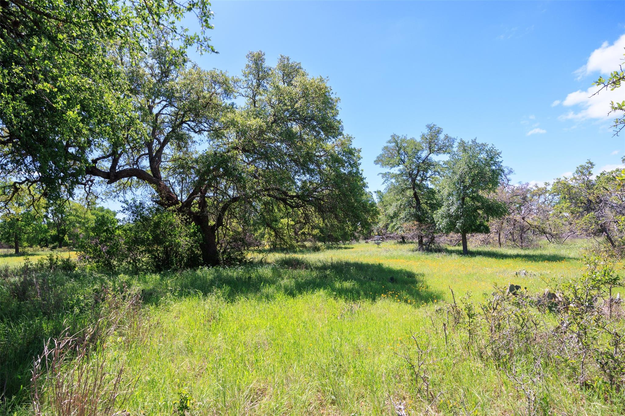 480 Blue Creek Drive Dripping Springs TX 78620