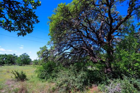 480 Blue Creek Drive Dripping Springs TX 78620