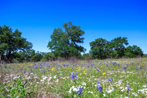 480 Blue Creek Drive Dripping Springs TX 78620