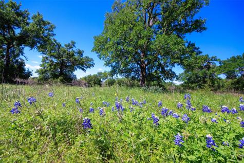 480 Blue Creek Drive Dripping Springs TX 78620