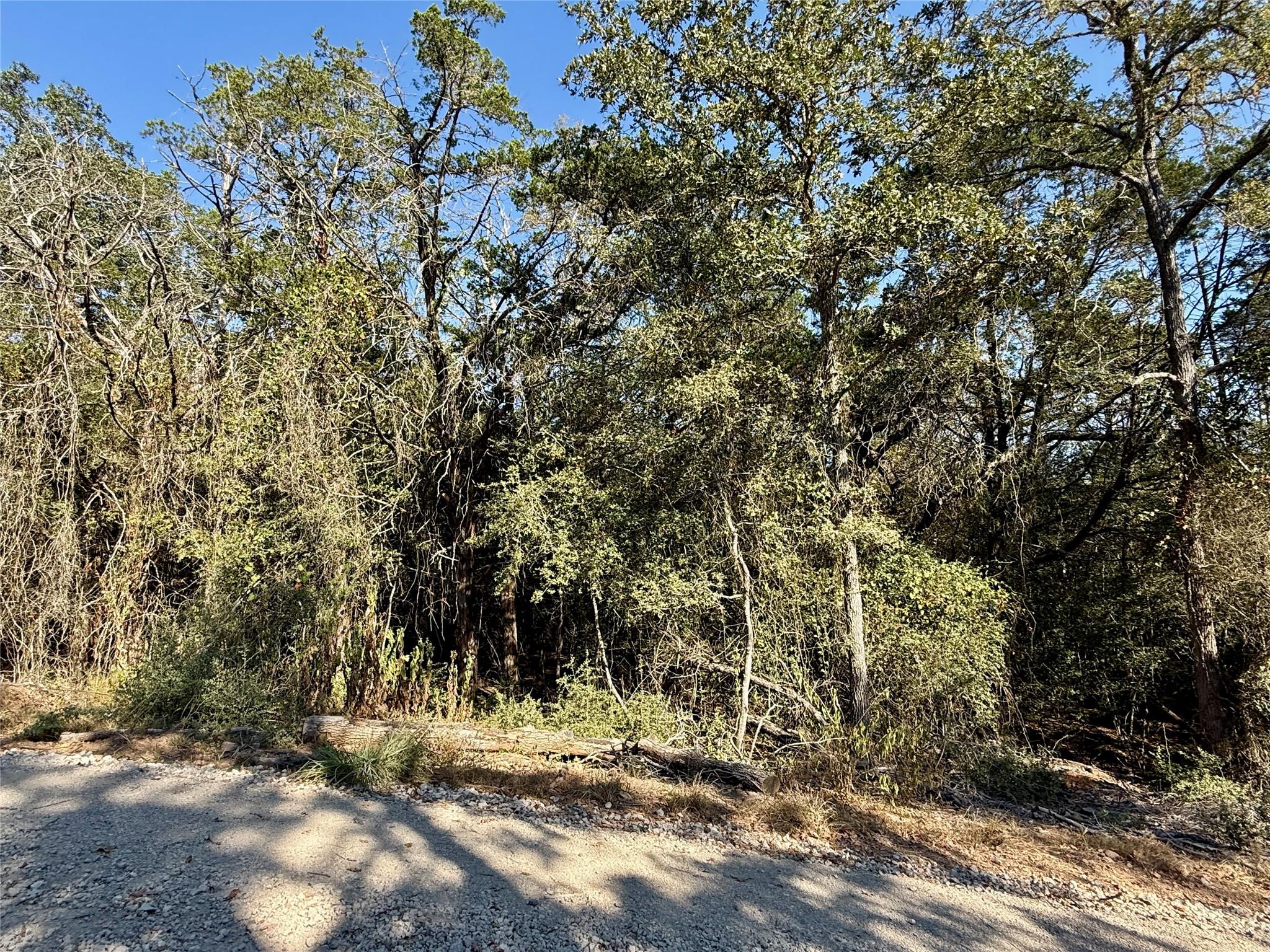 Tbd Lot 1232 Hanauma Drive Bastrop TX 78602