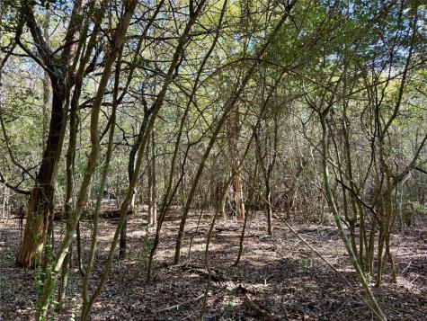 Tbd Lot 1232 Hanauma Drive Bastrop TX 78602
