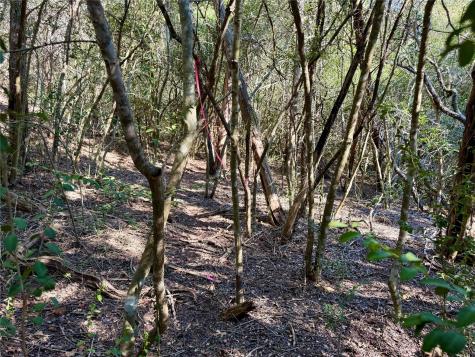 Tbd Lot 1232 Hanauma Drive Bastrop TX 78602
