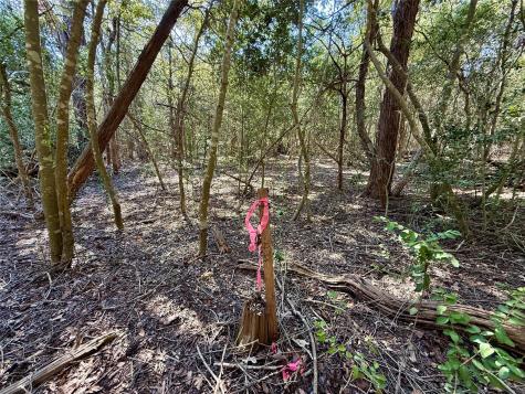 Tbd Lot 1232 Hanauma Drive Bastrop TX 78602