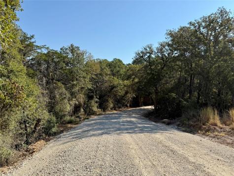 Tbd Lot 1232 Hanauma Drive Bastrop TX 78602