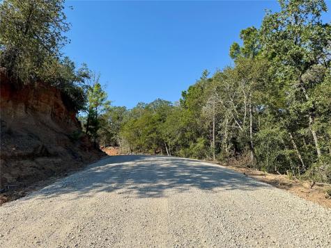 Tbd Lot 1232 Hanauma Drive Bastrop TX 78602