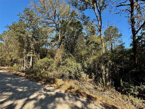 Tbd Lot 1232 Hanauma Drive Bastrop TX 78602