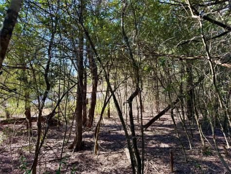 Tbd Lot 1232 Hanauma Drive Bastrop TX 78602