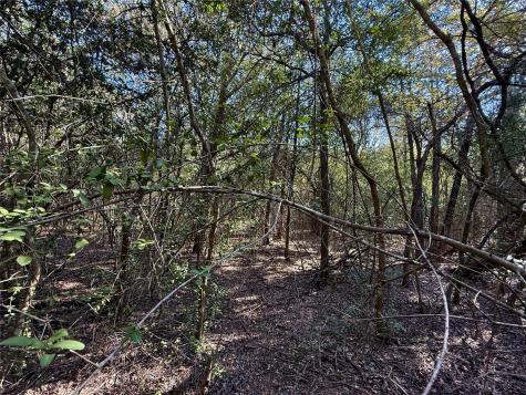 Tbd Lot 1232 Hanauma Drive Bastrop TX 78602