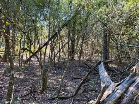 Tbd Lot 1232 Hanauma Drive Bastrop TX 78602