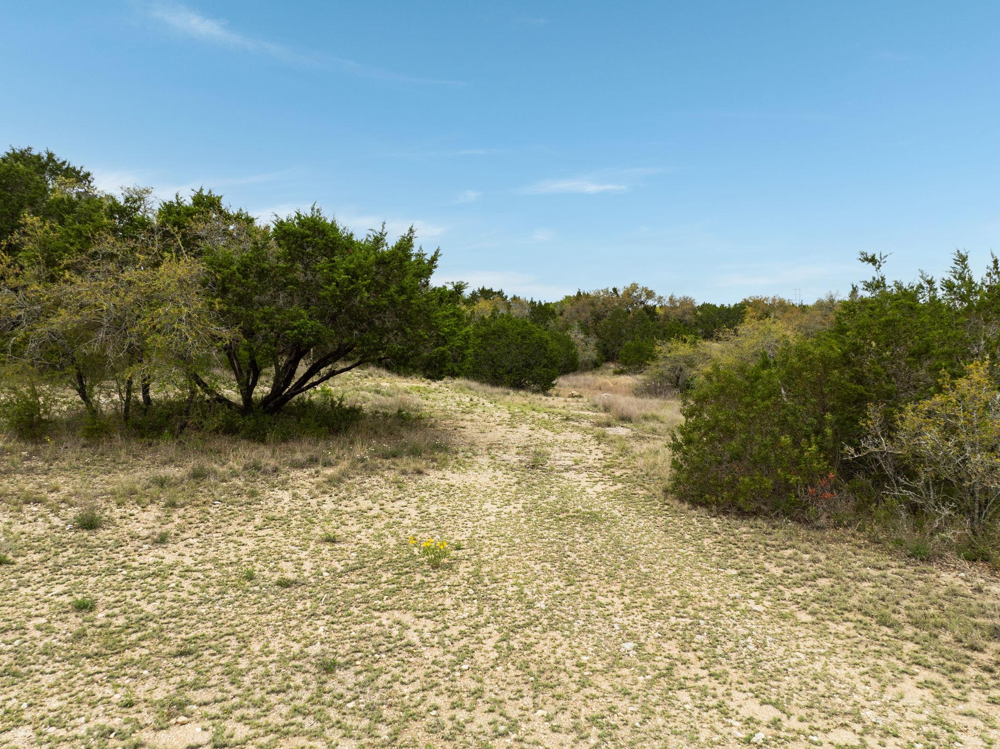 3510 R O Drive Spicewood TX 78669