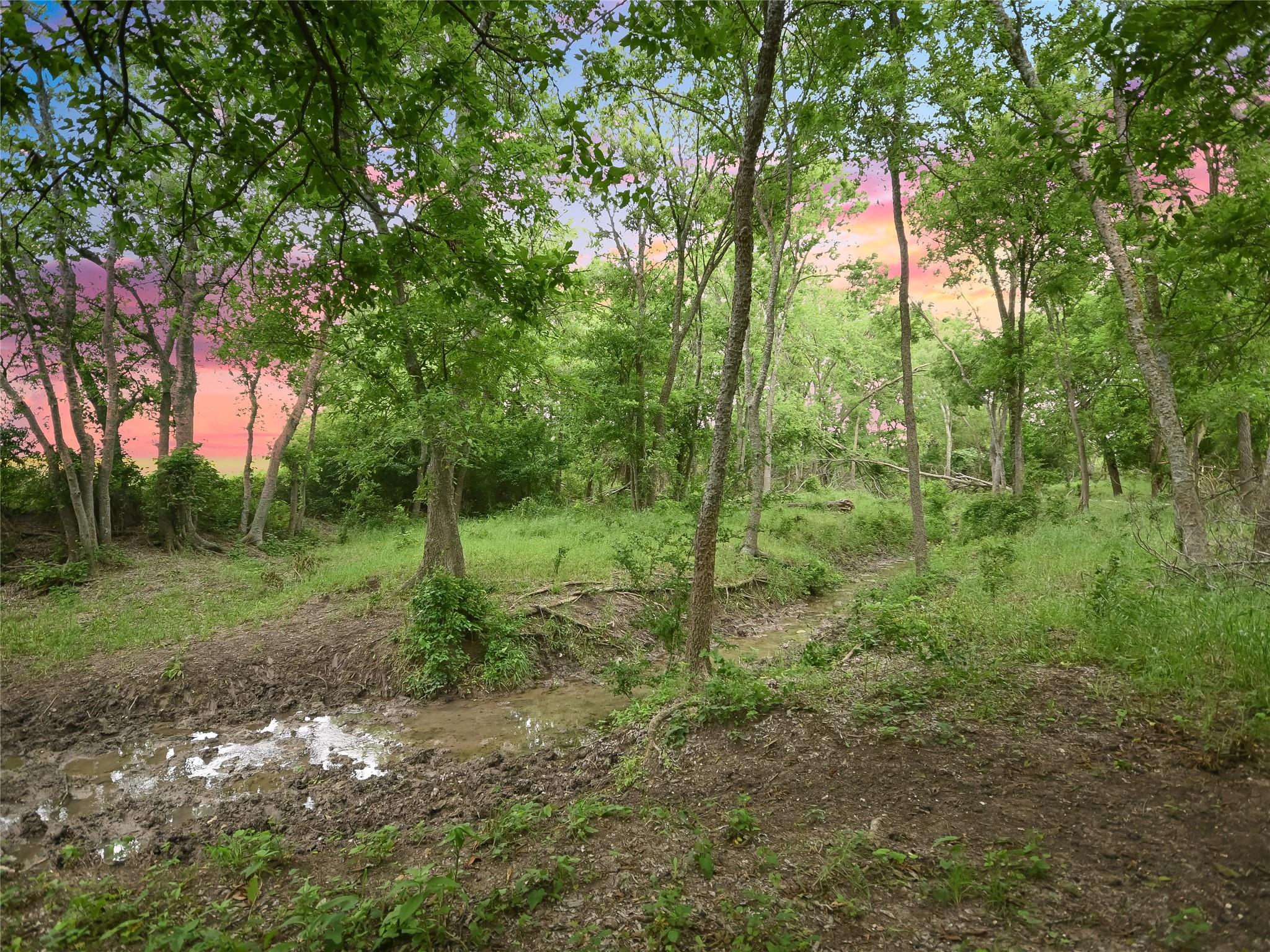 1515 County Road 315 Jarrell TX 76537