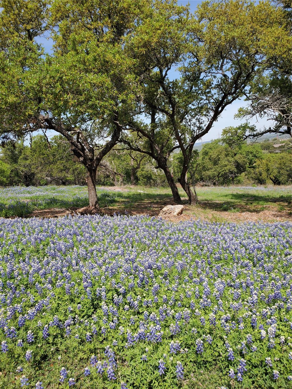 5401 Dew Drop Street Horseshoe Bay TX 78657