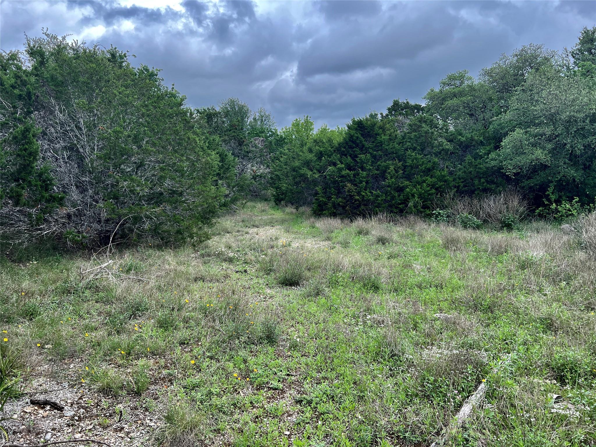 15006 Pheasant Lane Austin TX 78734