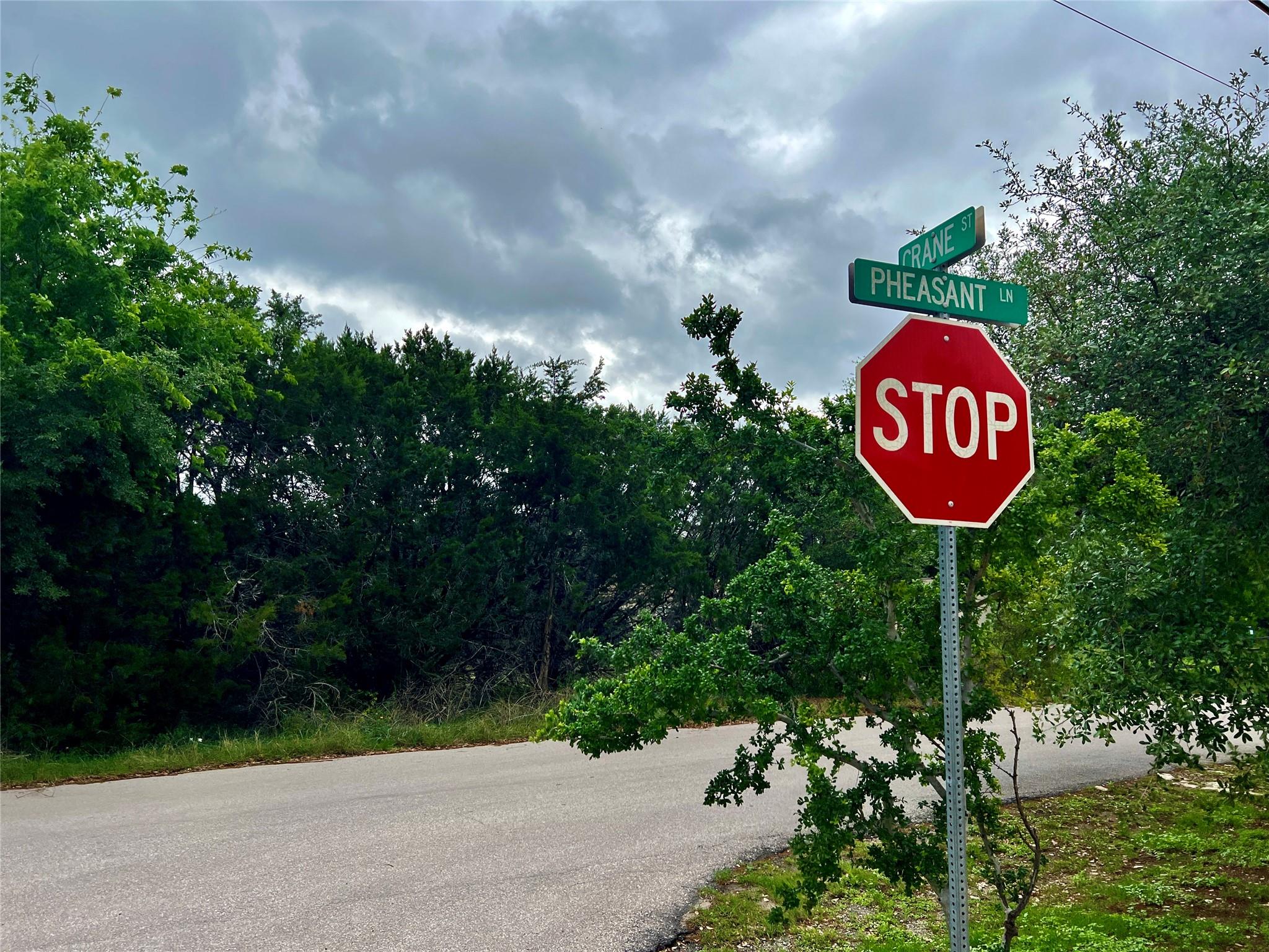 15006 Pheasant Lane Austin TX 78734