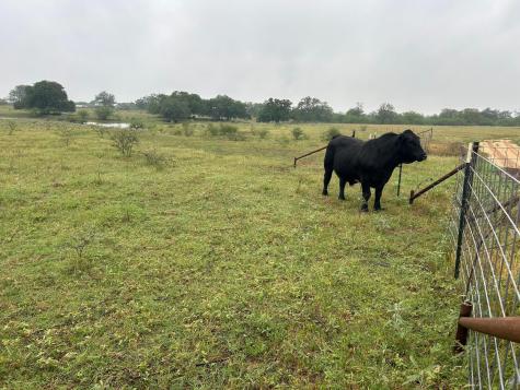 957 Johnson Farms Road Harwood TX 78632