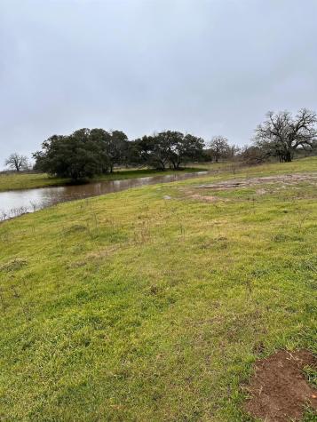 957 Johnson Farms Road Harwood TX 78632