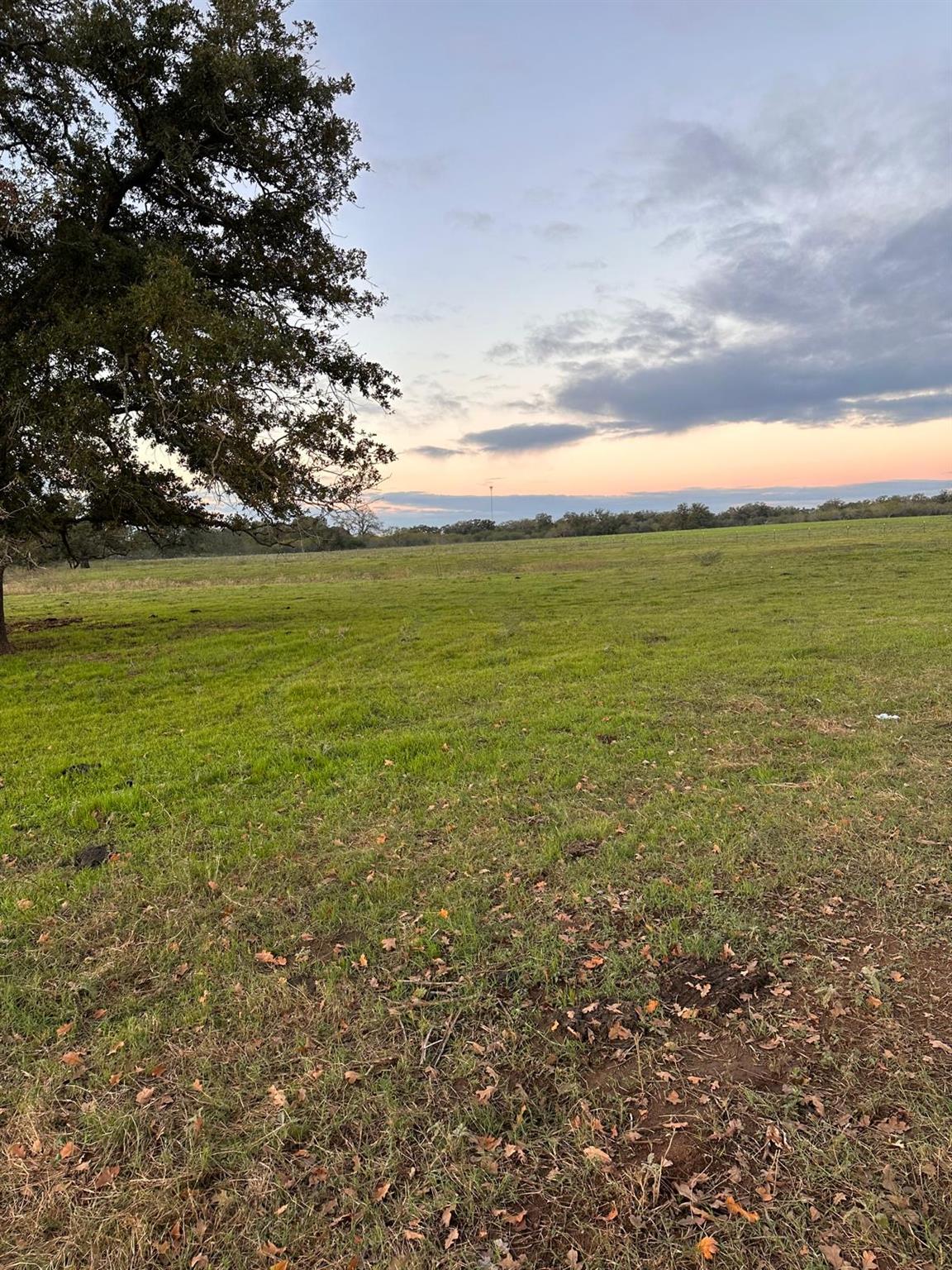 957 Johnson Farms Road Harwood TX 78632